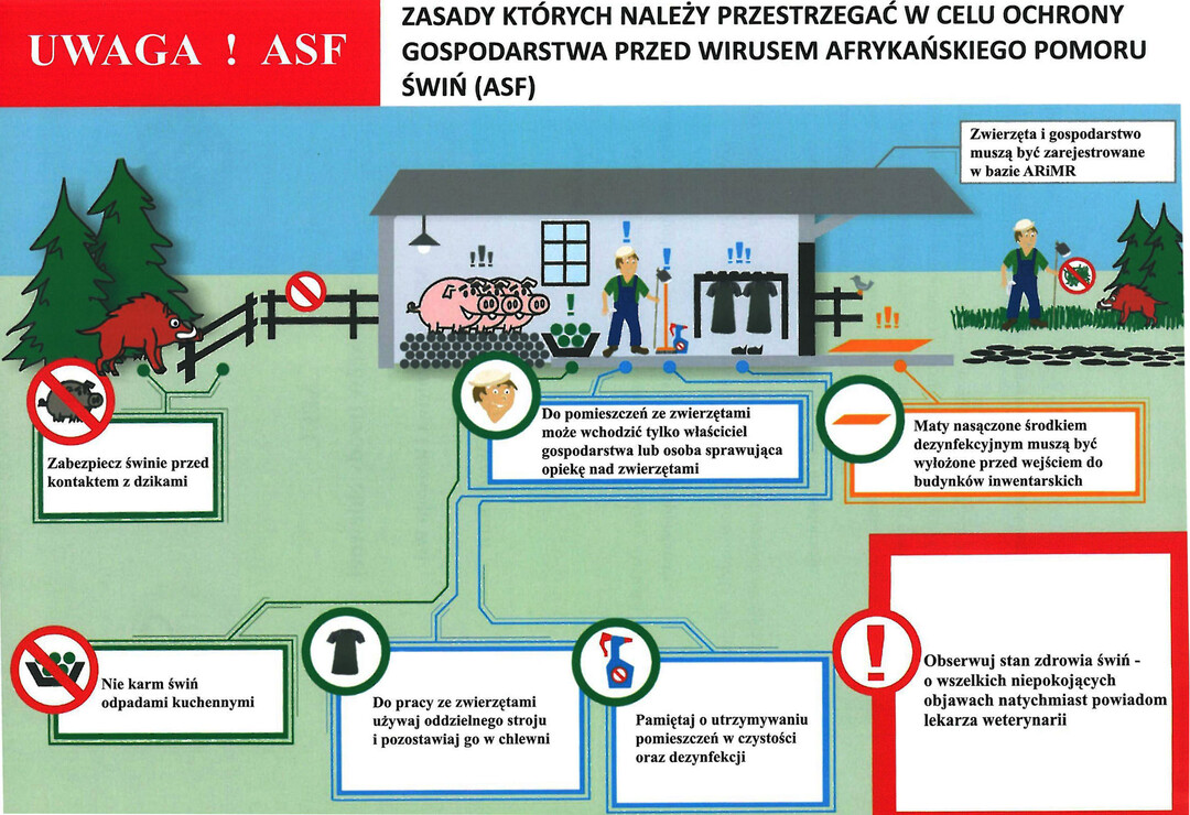 Ulotka ASF zasady których należy przestrzegać w celu ochrony gospodarstwa przed wirusem ASF