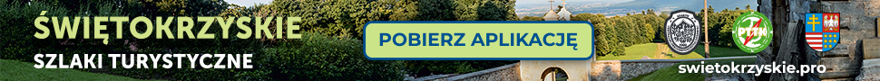 baner sst 970x90 v2