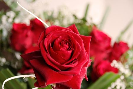 kwiat roza pixabay CC0 450
