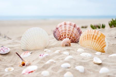 plaża pixabay CC0 450